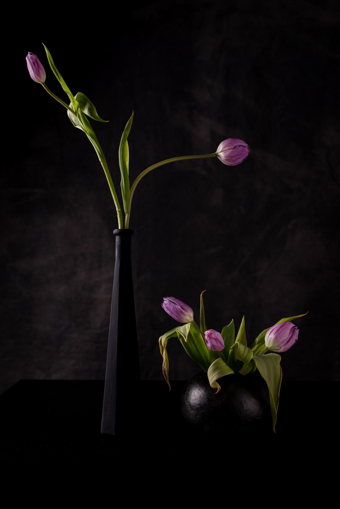 Stillleben mit fünf rosa Tulpen von Vito Guarino