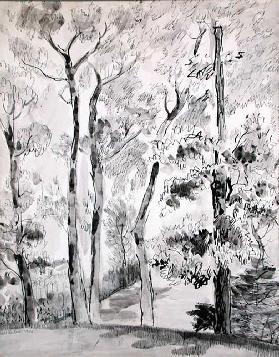 Bäume, Sand-Punkt, 1935 1935