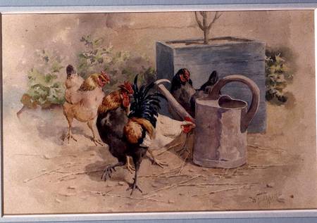 Chickens by a Watering Can (w/c with bodycolour on paper) von William Baptiste Baird