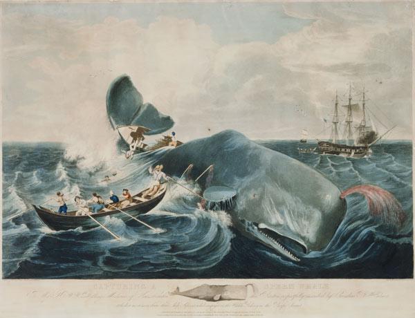 Capturing a Sperm Whale, engraved by J. Hill published