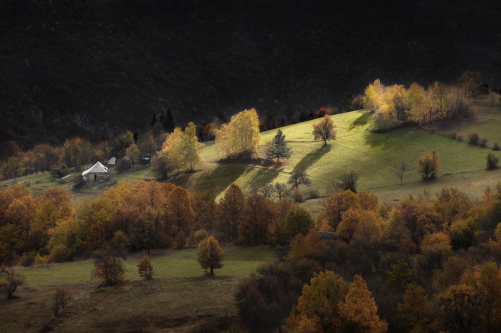 Grüner Hügel von Zoran Milutinovic